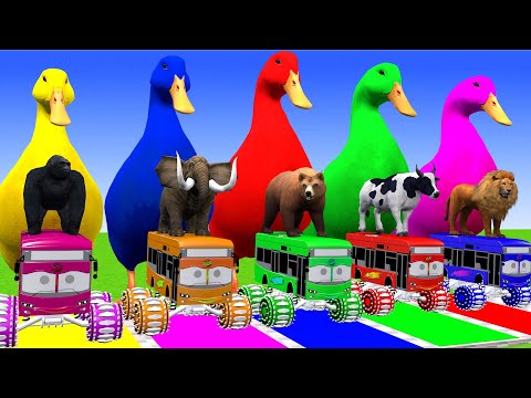 5 Giant Duck Cartoon,Cow,Elephant,Tiger,Lion,Dinosaur,Paint Wild Animals Crossing Fountain Animation