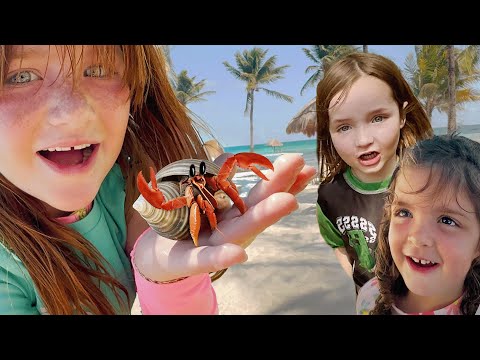 WE FOUND HERMiT CRABS!! Beach Animals, Sand Castles, and Playing in the Pool with Adley Niko & Navey