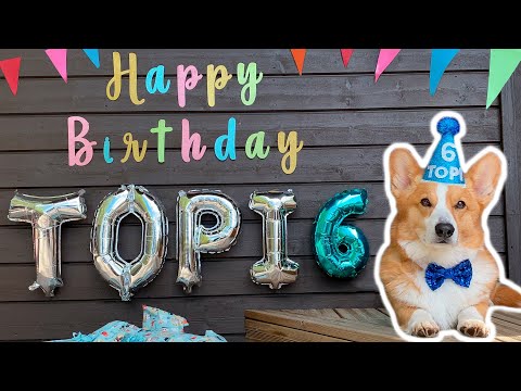 6th BIRTHDAY - Topi the Corgi