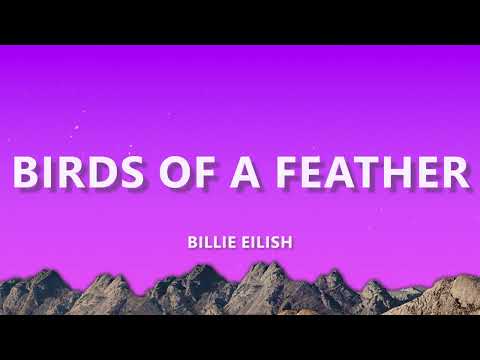 Billie Eilish - BIRDS OF A FEATHER | Fresh Lyrics | Music Lyrics Video | Pop Music Lyrics Video