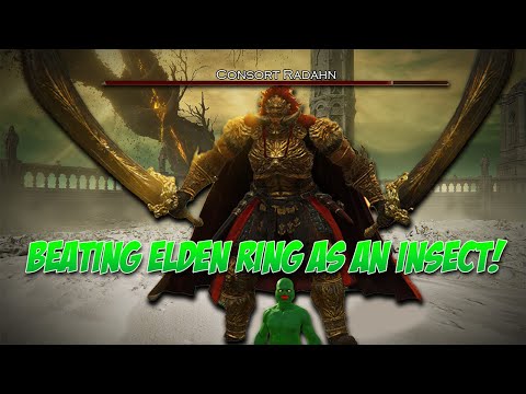 BEATING ELDEN RING AS A BUG!