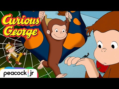 George's Itty Bitty Bug Friends 🦋 🐛 🐜 🪲 | CURIOUS GEORGE