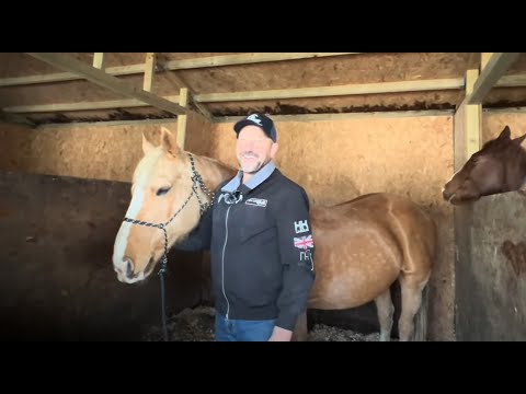 Horse worming made simple & Why we don't hand feed!