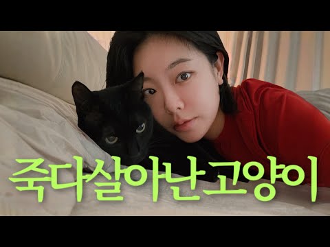 [VLOG] 니가 아플때 말을 할 줄 안다면 얼마나 좋을까