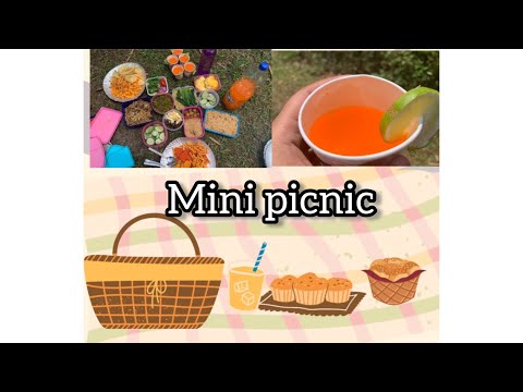 Mini picnic party ✌️| with Cousins | Shenshen vlog