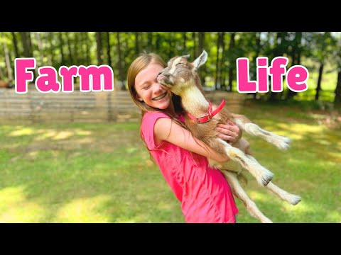 WEEK IN MY LIFE ON A SMALL FARM | FIRST WEEK OF HOMESCHOOL