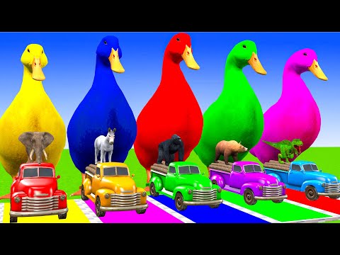 5 Giant Duck Cartoon, Cow, Giraffe, Elephant, Lion, Animals Crossing Fountain Animal Game