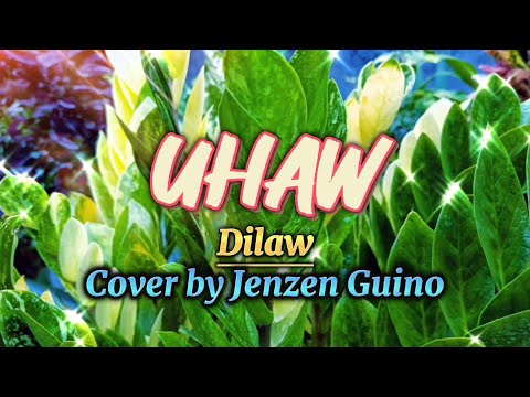 UHAW - Dilaw / Jenzen Guino Cover