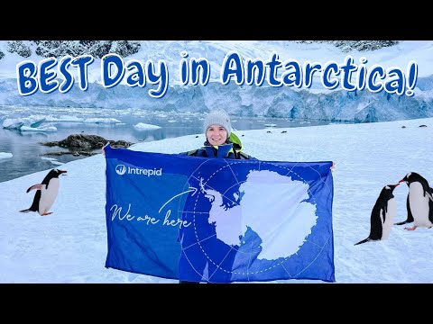 What a Day in ANTARCTICA looks like! HOW is this my life?!