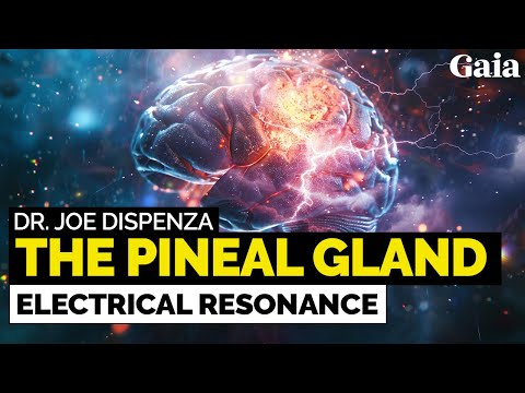 WOW! Pineal Gland Microcrystals Resonate with Mobile Telecom Frequencies!