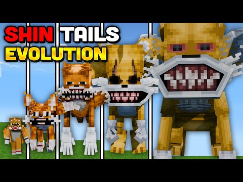 Minecraft But I Evolve SHIN TAILS Final Form