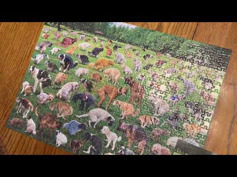 Review of the Funwares Original 101 Pooping Puppies Puzzle - Hilarious Jigsaw Puzzle - 500 Pieces