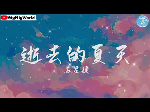 苏星婕 - 逝去的夏天『风吹过我的指尖 那逝去的夏天』【 歌词字幕/完整版 】♪ BBW