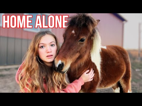 ❄️HOME ALONE❄️ with 60+ Farm Animals | Small Farm Christmas Series Ep. 2