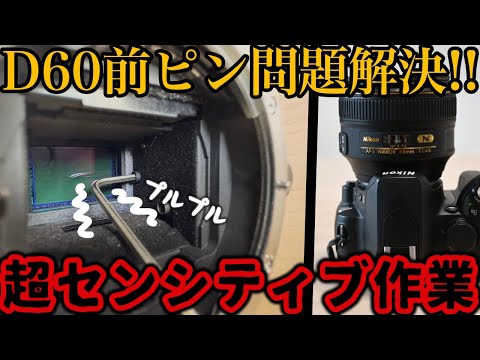 [歓喜] Nikon D60の前ピン問題が解決しました！