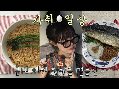 집밥 잘 해먹는 자취생 🍳  고등어나또밥･브로콜리니･앤쵸비파스타･오리주물럭 ･･･