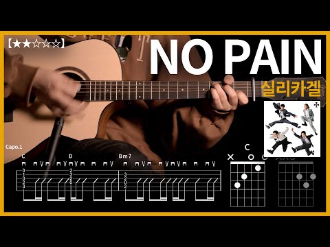 782.실리카겔 - NO PAIN 기타커버【★★☆☆☆】 | Guitar tutorial |ギター 弾いてみた 【TAB譜】