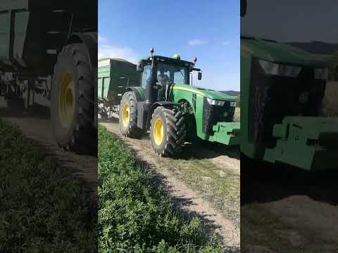 3x John Deere | Žita 2024