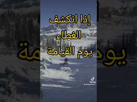 ٧ ديسمبر ٢٠٢٤