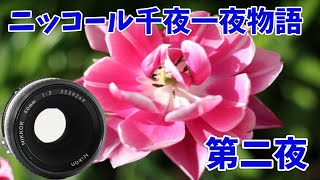 ニッコール千夜一夜物語、第二夜のレンズ！NIKON NIKKOR 50mm F2 AI【オールドレンズ 作例 camera lens review 】