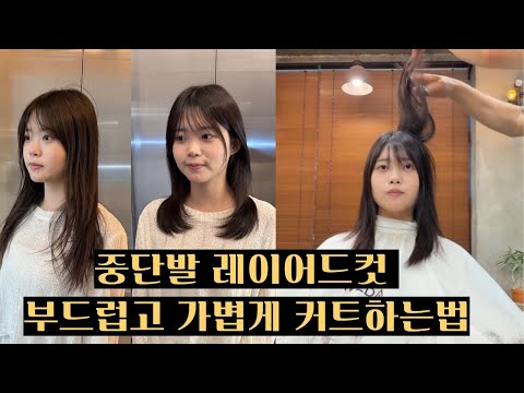 중단발 레이어드컷 | 허쉬컷 | 부드럽고 가볍게 커트하는 방법