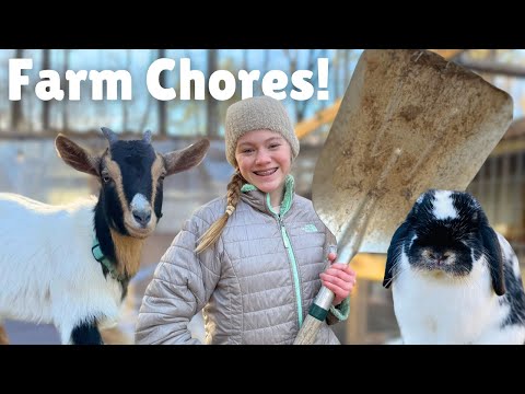 Productive winter days on the farm