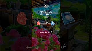 #islamicvideo #quran_urdu_translation #quranic_light