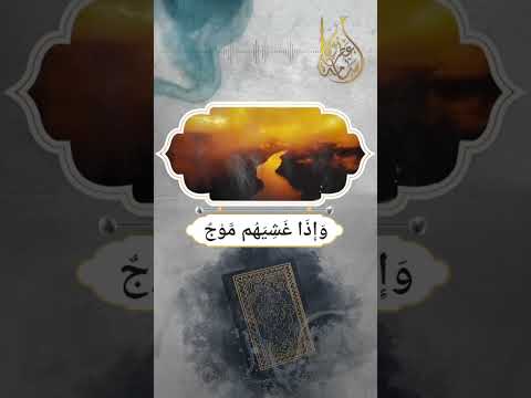 أَلَمْ تَرَ أَنَّ الْفُلْكَ تَجْرِي فِي | القارئ أسامة عطران