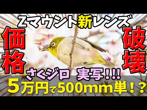 【驚愕】Zマウント500mmが5万円!?ウメジロ―を撮影せよ！銘匠光学 TTArtisan 500mm f/6.3