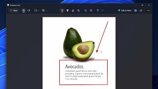 Windows 11 Snipping Tool is Getting Even Better: New Draw & Hold Capability