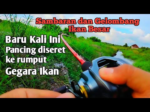 SAMBARAN BESAR DAN BARU KALI INI GELOMBANG IKAN BESAR MENGAMUK DI SPOT SEMPIT