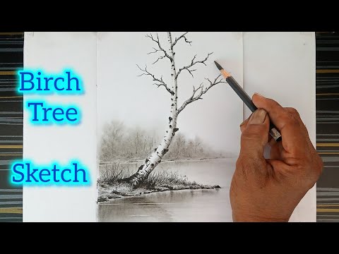 How to draw birch tree landscape step by step.