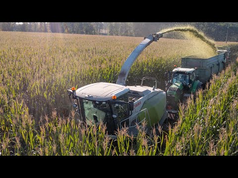 Silage in Závitkovice | Claas Jaguar 860 | Black and green Deutz-Fahr