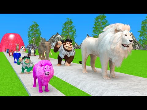 Paint & Animals Cow,Gorilla,Elephant,Giraffe,Tiger,Lion, Fountain Crossing Transformation Cartoon