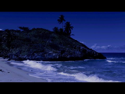 Soothing Waves for Deep Sleep & Relaxation, Relaxing Night Beach Ambience, Fall Asleep Fast