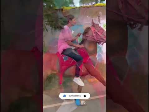 horse girl galloping horse riding on Jamnagar road#viralvideo #womenempowerment #shorts #jamnagar