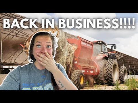 This is probably the best day of my life all year!! | Day in the life of a 28 year old farmer