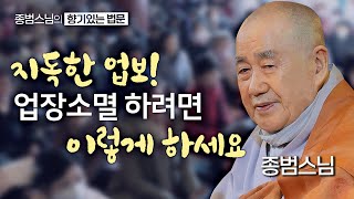 이렇게 살면 평생 업보만 갚아야 됩니다! 업장소멸 하려면 이렇게 하세요 [종범스님의 향기로운 법문] #업보 #업력 #종범스님