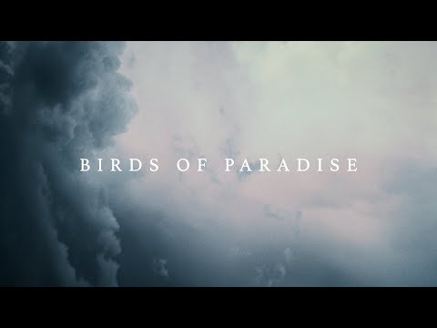 Gísli Gunnarsson - Birds of Paradise