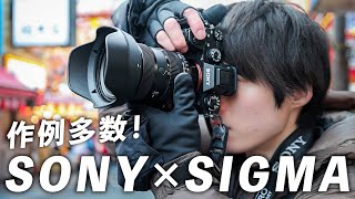 絶対に後悔しない、SONY×SIGMAの4本のレンズの実力。