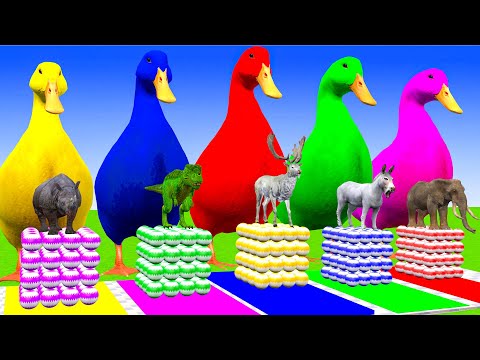 5 Giant Duck, Monkey, Piglet, chicken, Pig, Elephant,tiger, Sheep, Transfiguration funny animal 2025