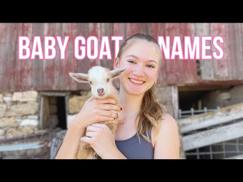 HELP ME NAME MY GOAT KIDS!