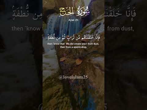 Surah Al-Hajj | Ayat 5 | Ayat Of The week | #relaxing #surah #surahalhajj #quran #shorts #viral #fyp