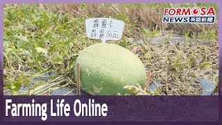 Yunlin young farmer brings new audiences to the fields with his online videos｜Taiwan News