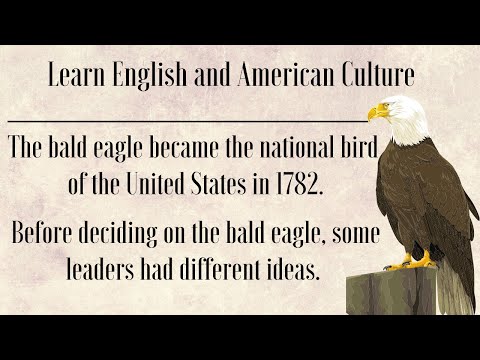 15.🔥The Bald Eagle || Why Is It America’s Symbol🔥 || Learn English Through American culture