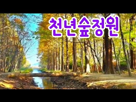 천년숲정원  경주가을 풍경 내곁에가을