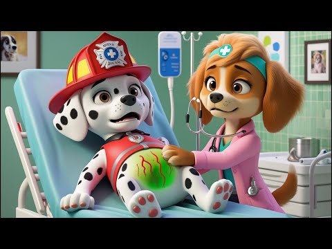 What’s Going On With Marshall? What Went Wrong?! Sad Story | Paw Patrol Ultimate Rescue | Rainbow 3