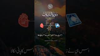 #islamicvideo #quran_urdu_translation #quranic_light