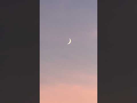 Surah Al-Zalzalah recitation by salim bahanana #quran #recitation #beautiful #moon #shorts #peaceful