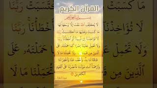 #quran #اكسبلور #المصحف #دويتو #القرآن_الكريم #yasseraldossary #سورة_البقرة #عبد_الباسط_عبد_الصمد